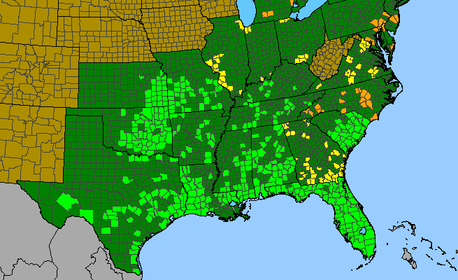 The range of Buchnera americana
